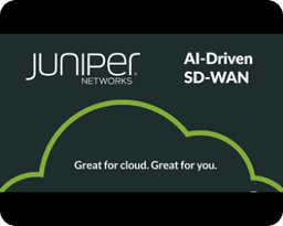 juniper